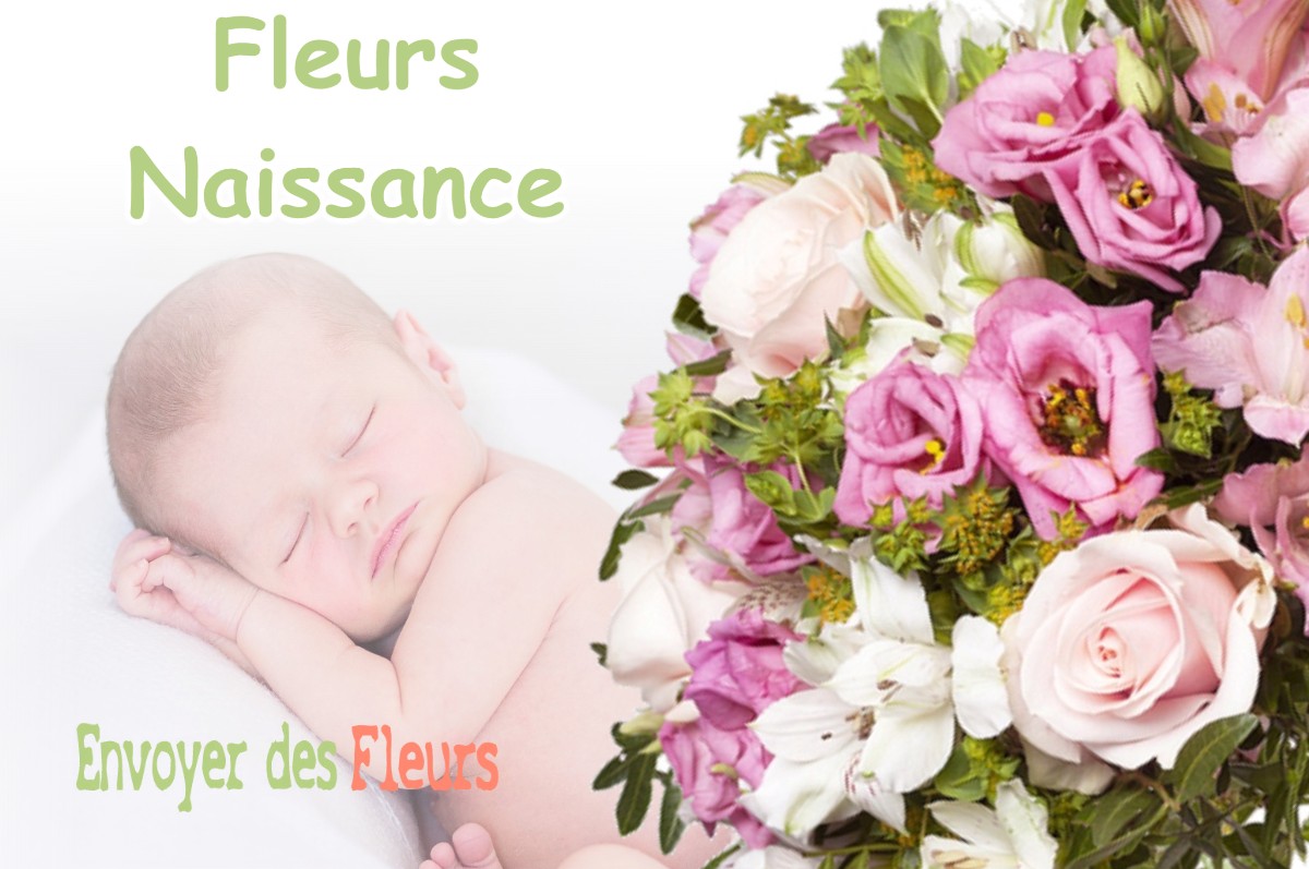 lIVRAISON FLEURS NAISSANCE à BIVIERS